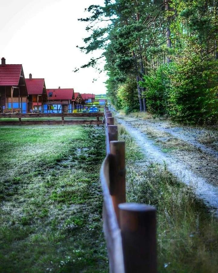 Lesna Ostoja Villa Borowy Mlyn Exterior foto