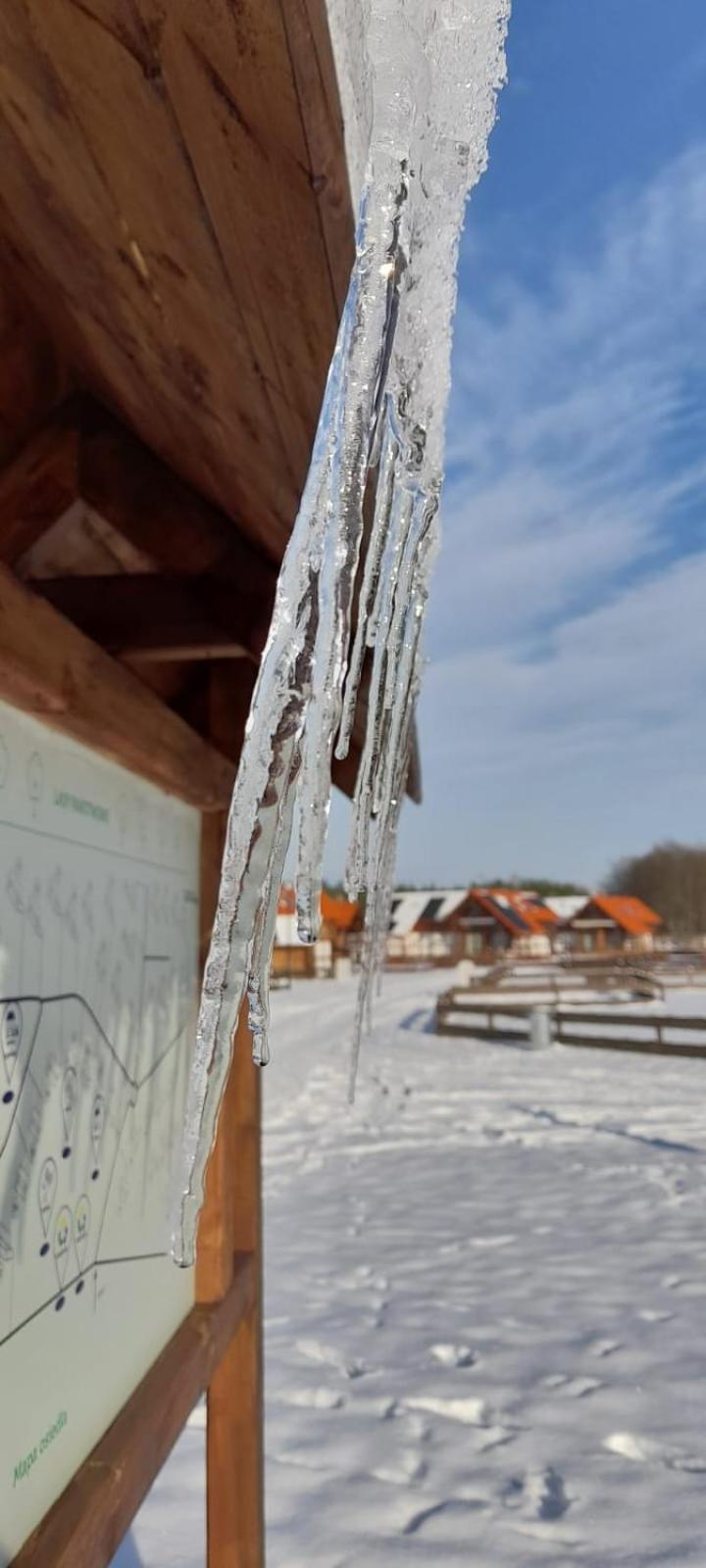 Lesna Ostoja Villa Borowy Mlyn Exterior foto